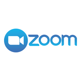 ZOOM 1
